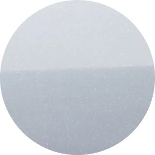Skiing White